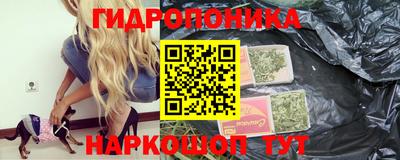 гашик Обнинск