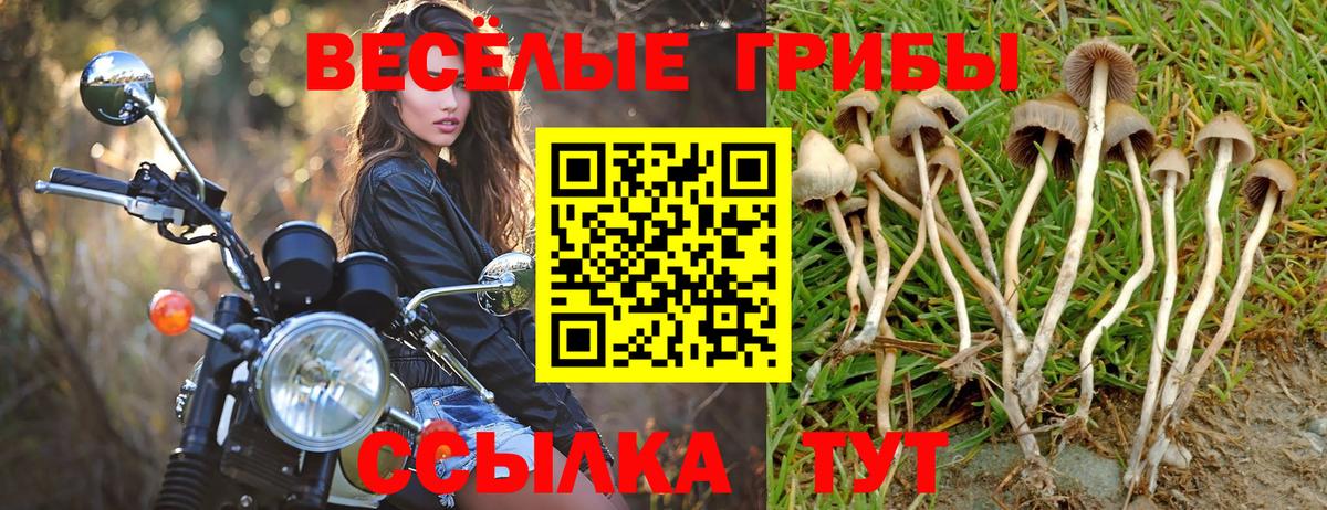 Галлюциногенные грибы мицелий  Вход с VPN  Псилоцибиновые грибы Magic Shrooms  Семёнов 